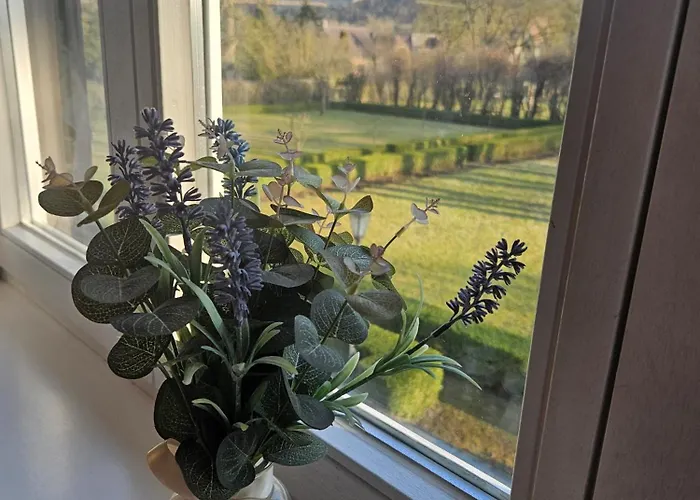 Saaleck Naumburg (Saale)